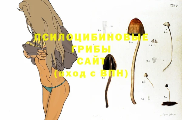 дурь Баксан