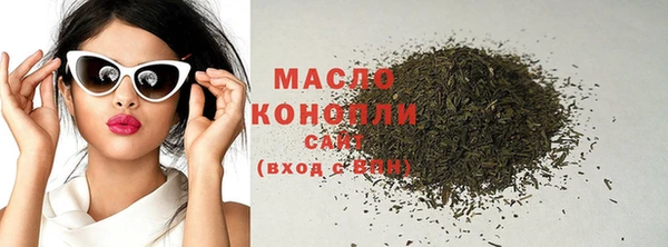 твердый Новозыбков