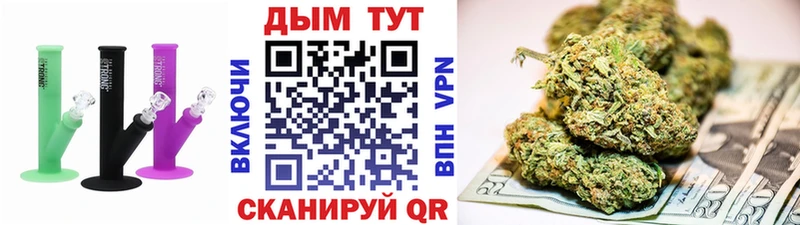 Бошки Шишки MAZAR  Луза 